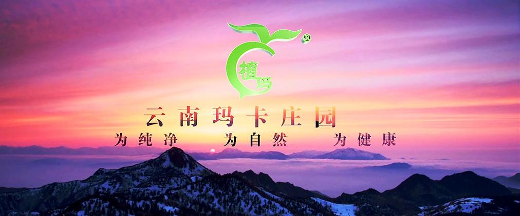 云南玛卡农业科技